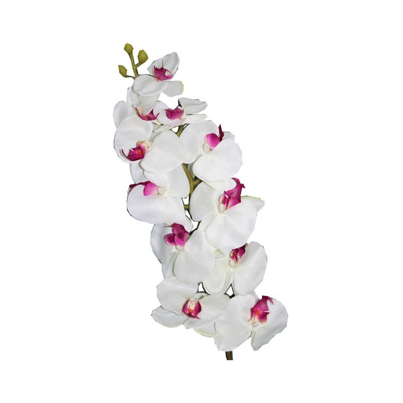 Tige d'orchidée LOTUS