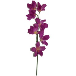 Tige d'orchidées THAÏ