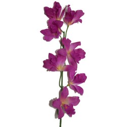Tige d'orchidées THAÏ