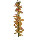Tige d'orchidées MINI