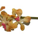 Tige d'orchidées MINI