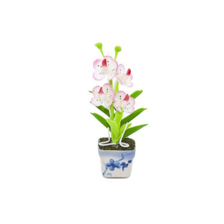 Pot en céramique de mini-orchidées