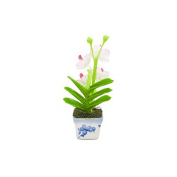 Pot en céramique de mini-orchidées