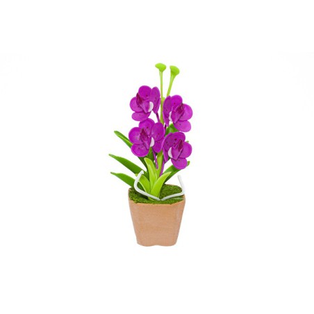 Pot en grès de mini-orchidées