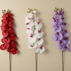 Tige d'orchidées LOTUS