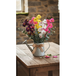 Tige d'orchidées SINGAPOUR