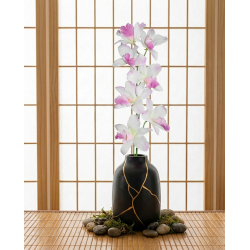 Tige d'orchidées THAÏ