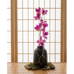 Tige d'orchidées THAÏ