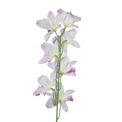 Tige d'orchidées THAÏ